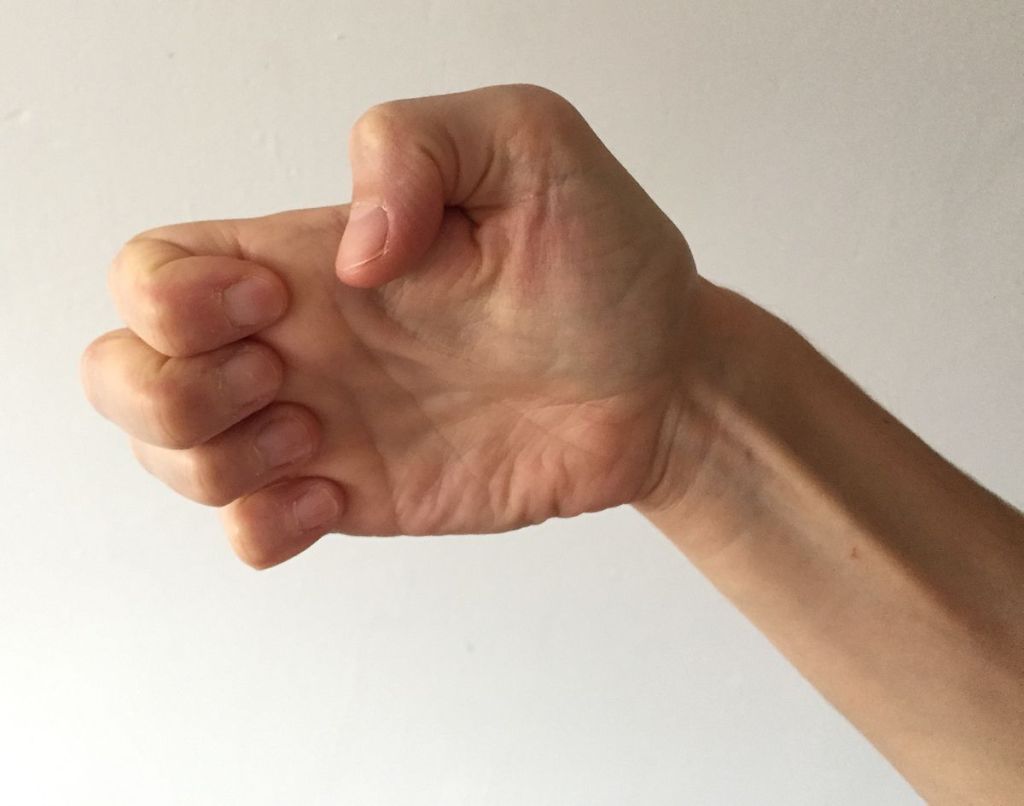 Hand Shapes – Terra Prime Fighting Words